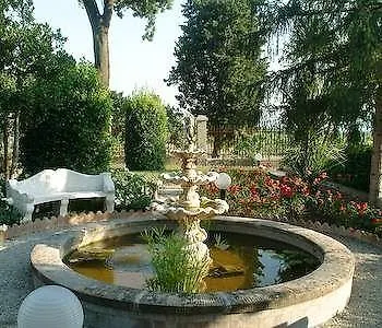 De Fiori *